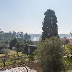 Complex Orzan Guest house
