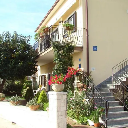 Complex Orzan Guest house 3*