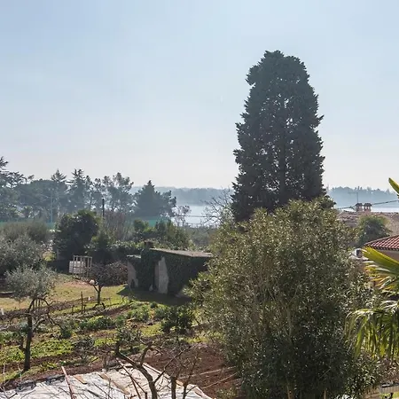 Complex Orzan Guest house