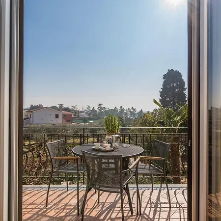 Complex Orzan Guest house 3*
